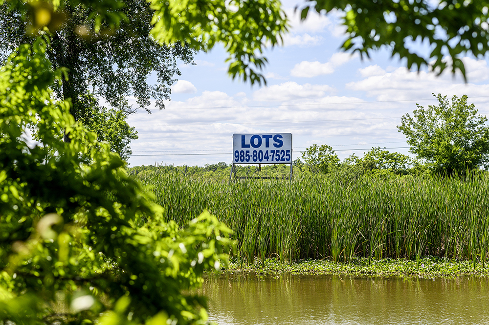 A sign advertising lots for sale, sitting alone above marsh water and reeds