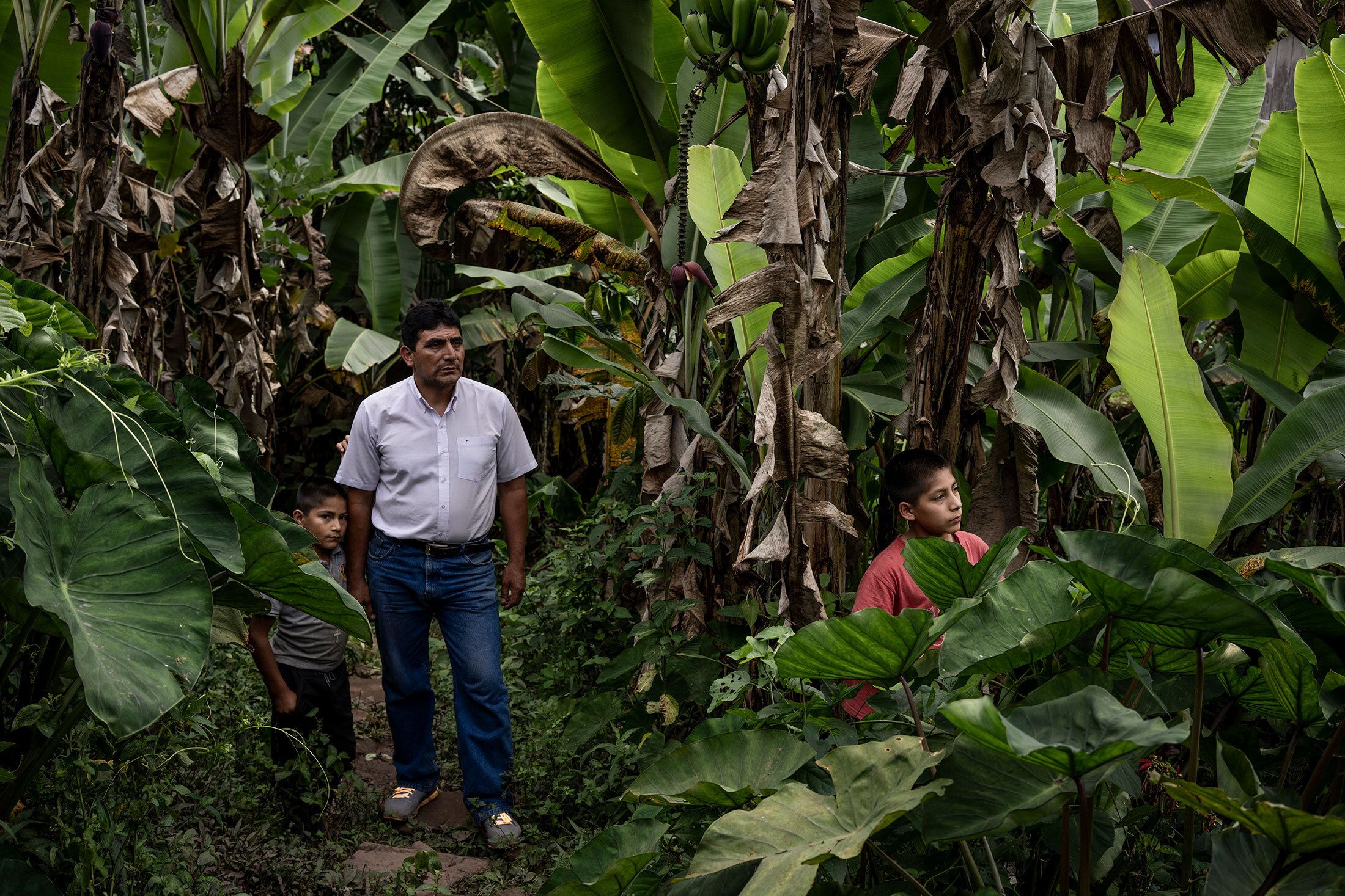 Man and two boys in the forest