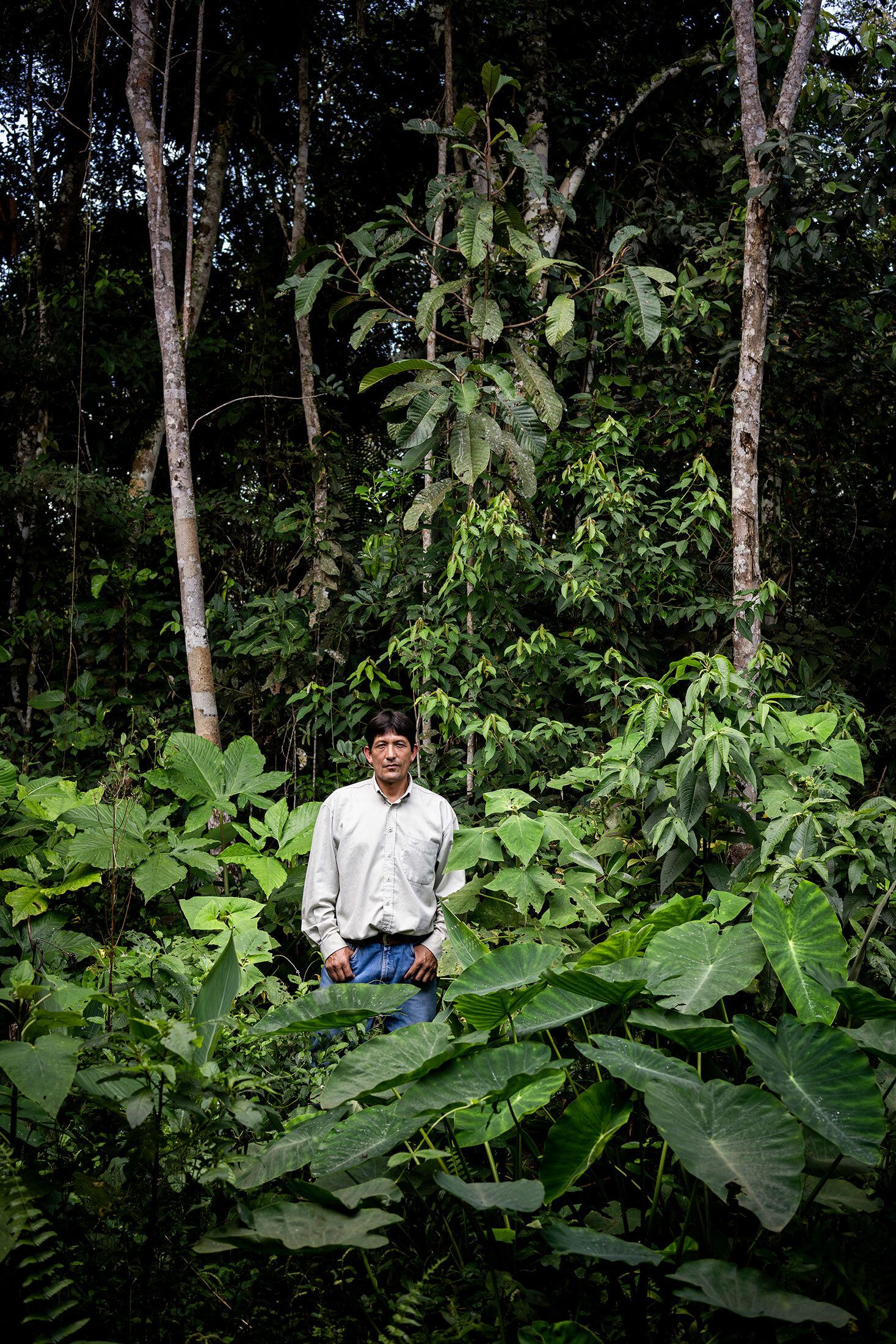 Bird sanctuary owner stands in the middle of lush forest, hip high in vegetation