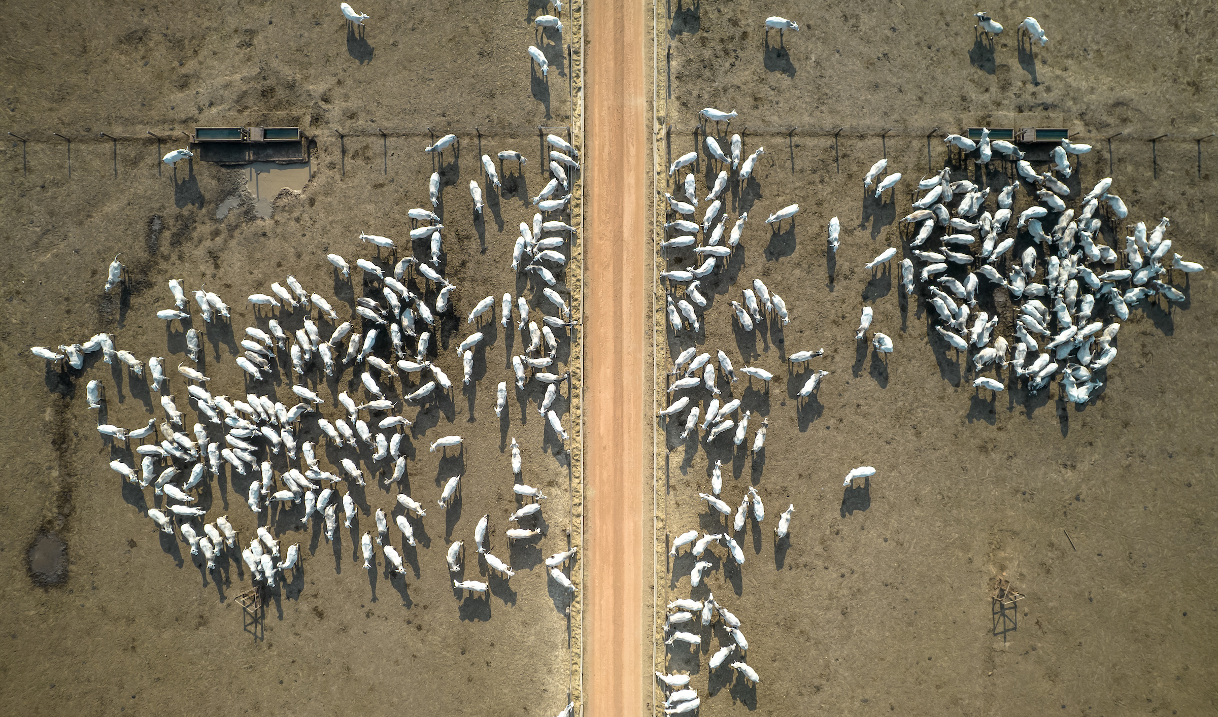 Aerial view of a fenced-in feed lot.